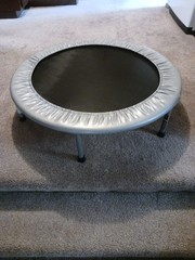 3″ Rebounder