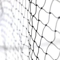 Skywalker Sports Competitive Series 40′ Batting Practice Cage