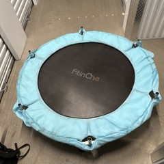 FitinOne Fitness Trampoline with Blue Padding Frame Pads Steel Fabric Black