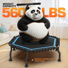 50″ Rebounder Trampoline for Adults- 2026 Foldable Mini Trampoline with Bar- Exe