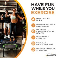 Leaps & ReBounds Fitness Rebounder Trampoline, 40-Inch Green