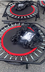 Fitness Rebounder Trampoline w/ Bungee Cords, Steel Frame, Black/Red