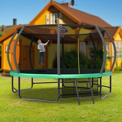 14ft Recreational Trampolines with Ladder ASTM Approval Adults Kids Trampoline
